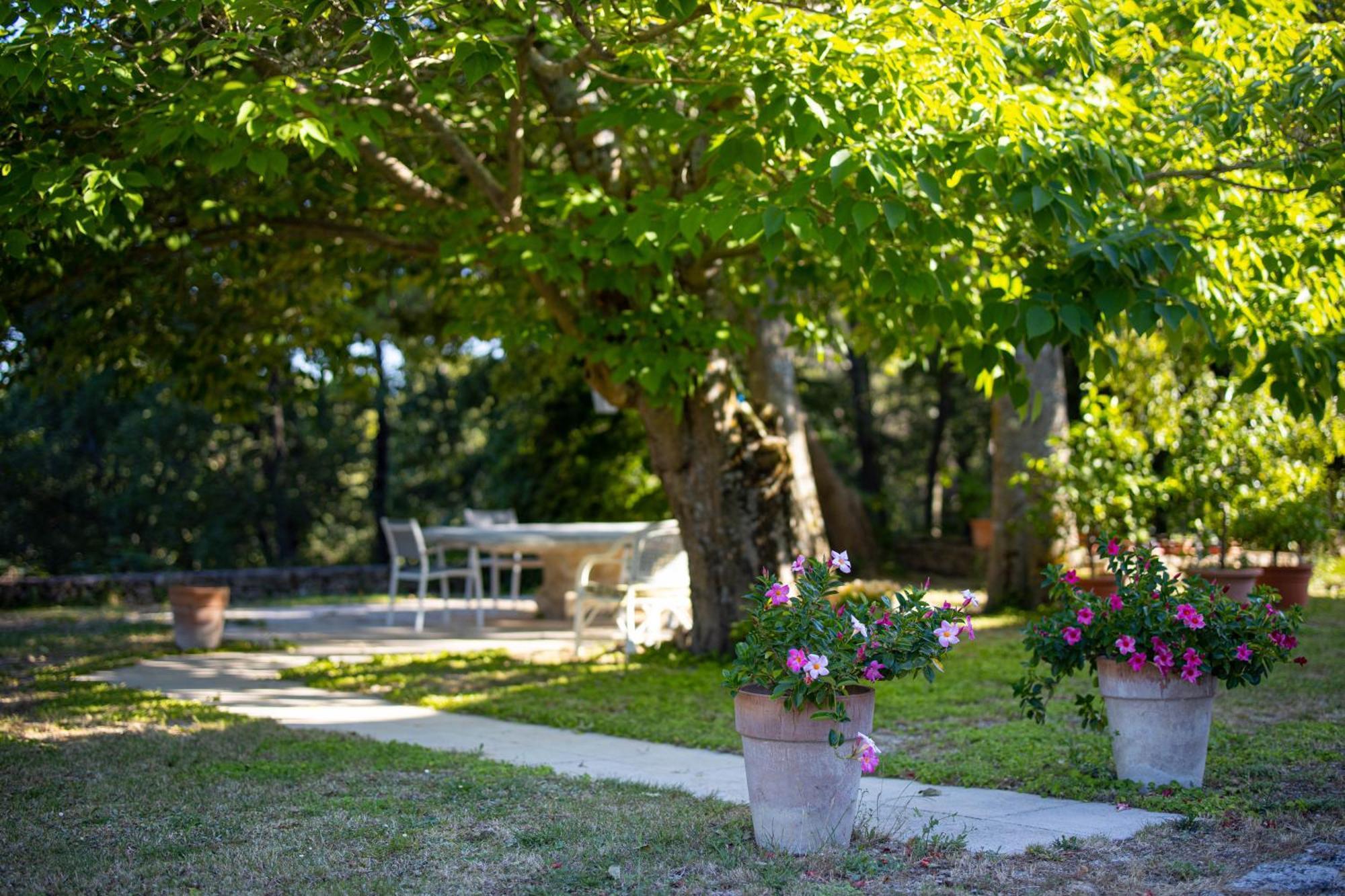 Le Mas Serenite Ansouis Exterior photo